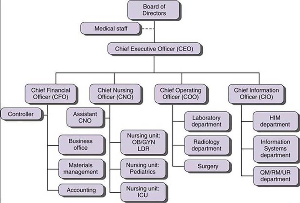 Ask An Advisor Who Should A Chief Nursing Officer Report To In A Large